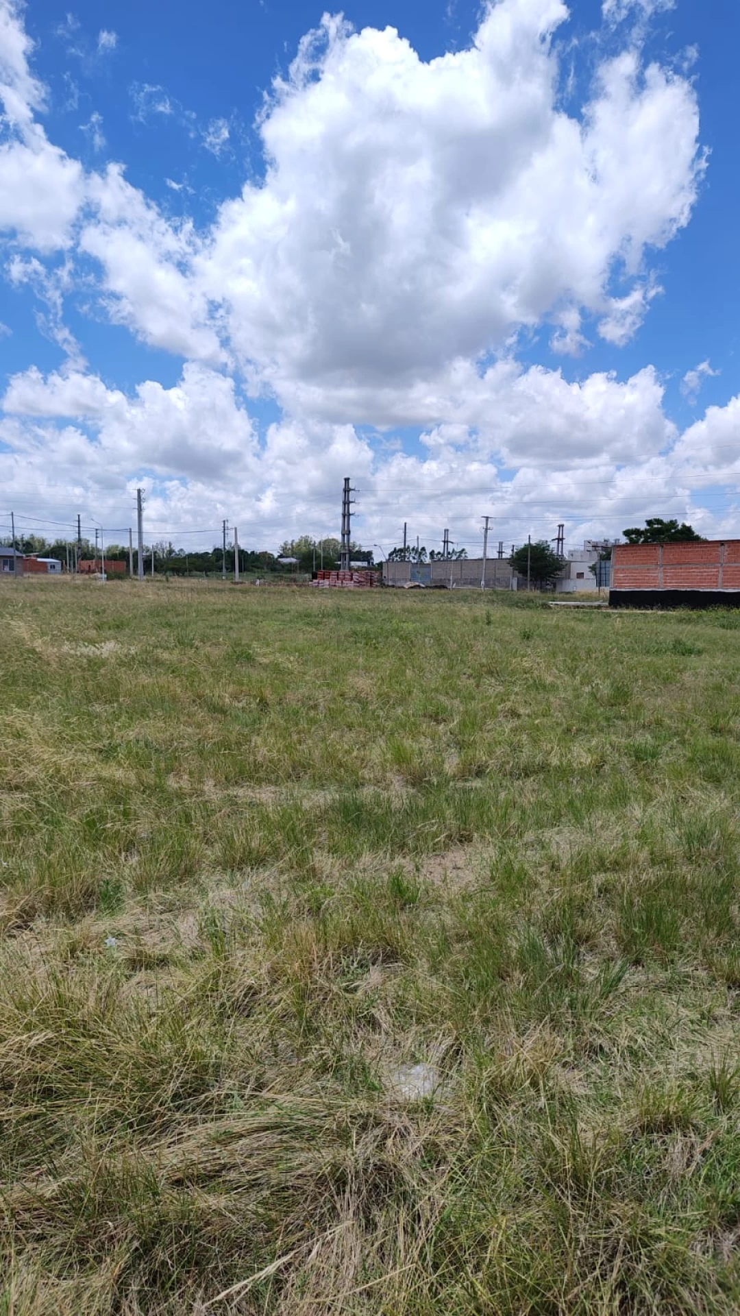 Imagen 6
