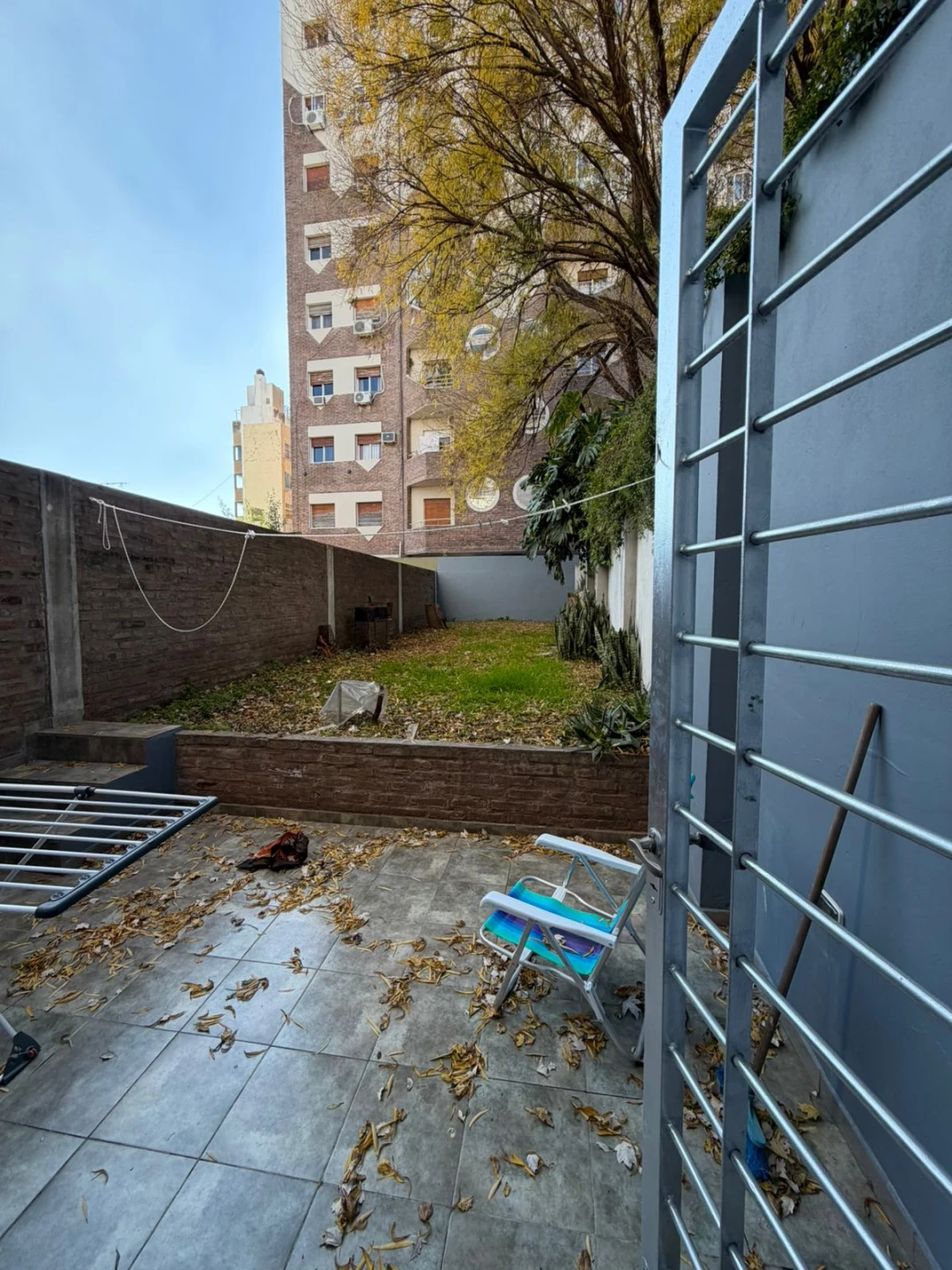 Imagen 7