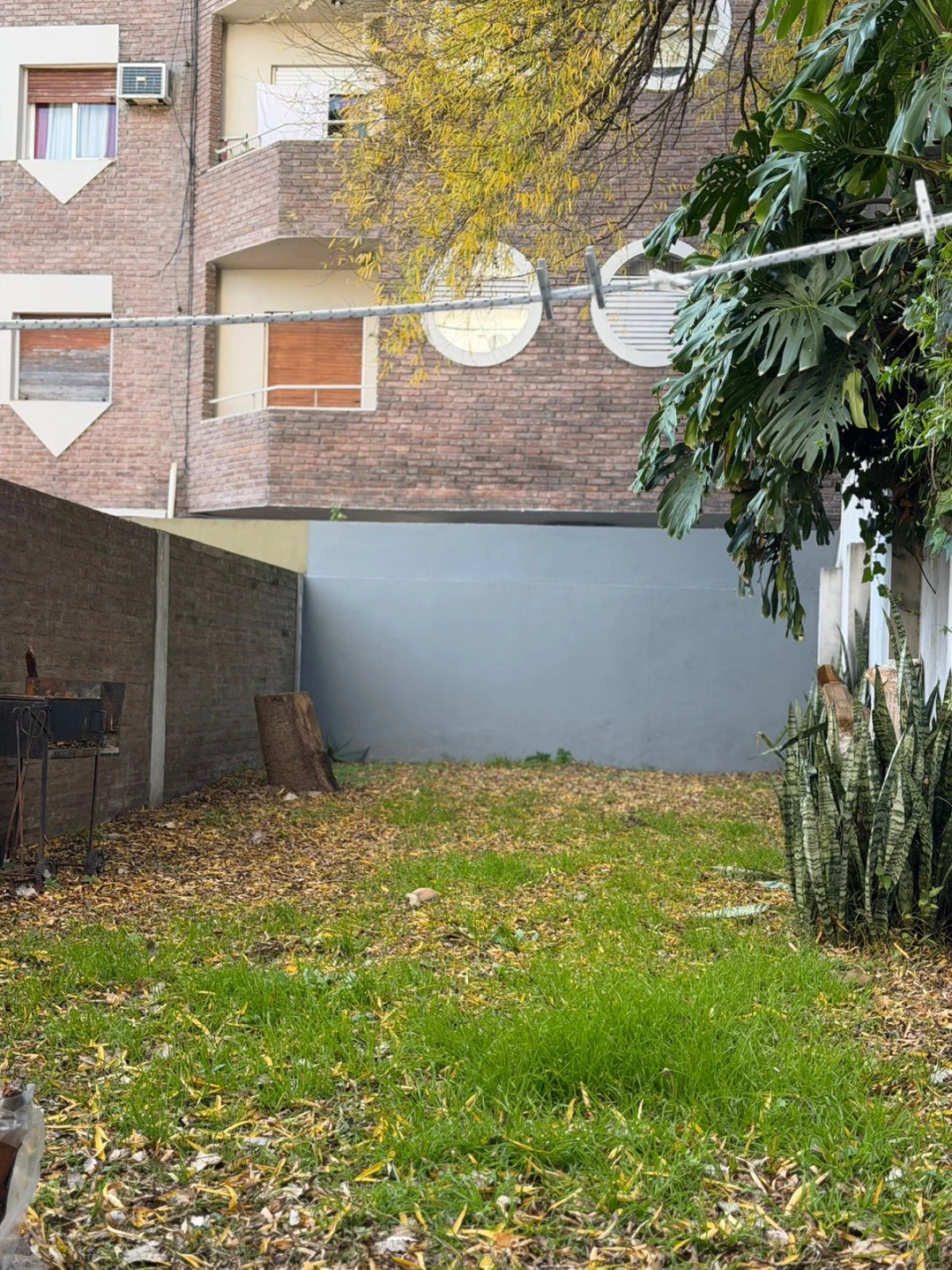 Imagen 8