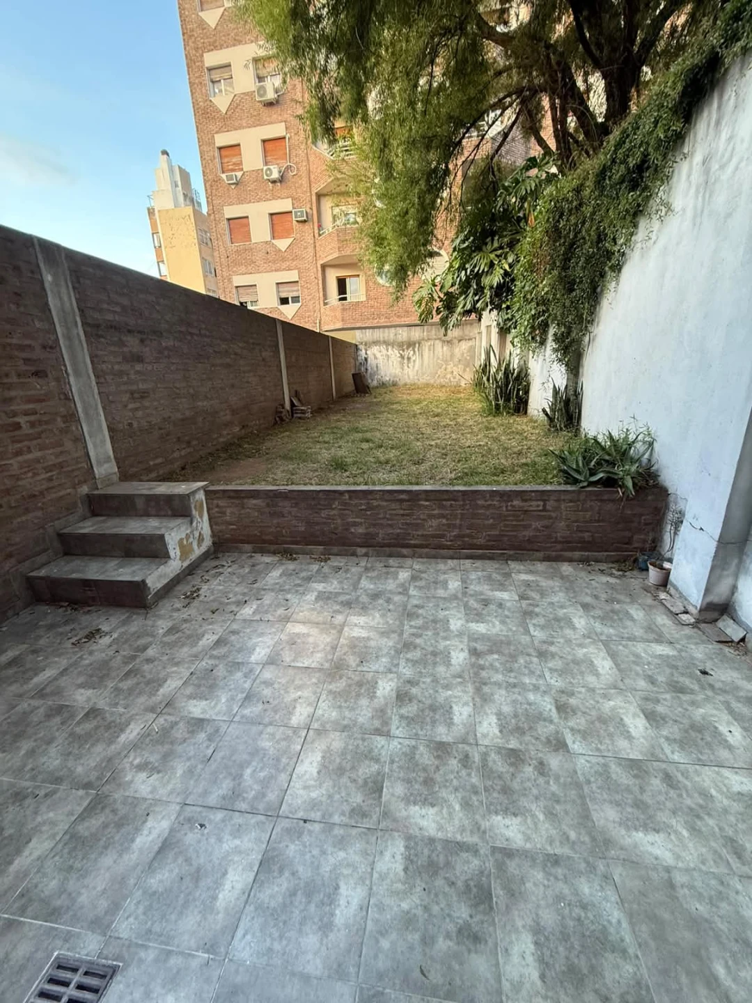 Imagen 7