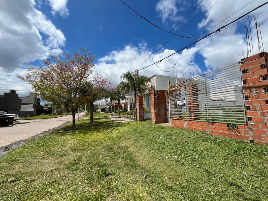 Imagen 4