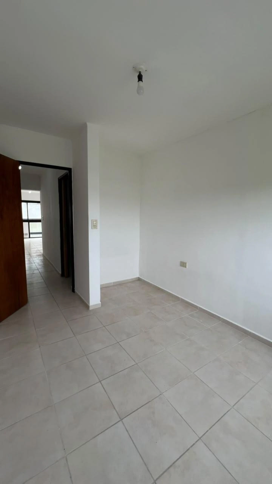 Imagen 7