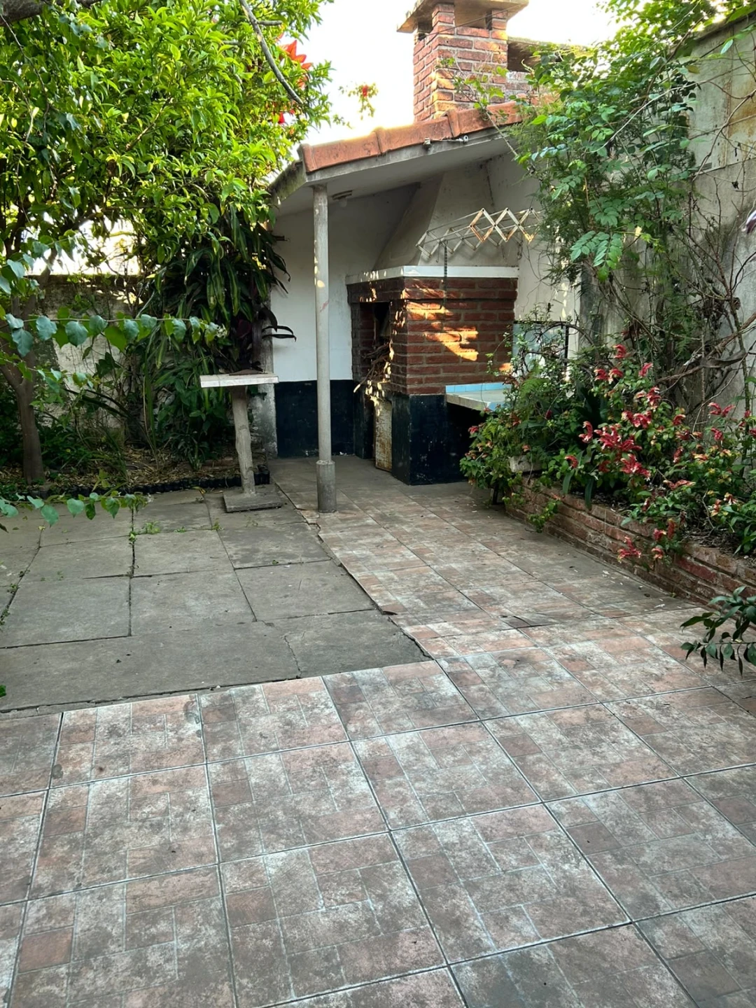 Imagen 6